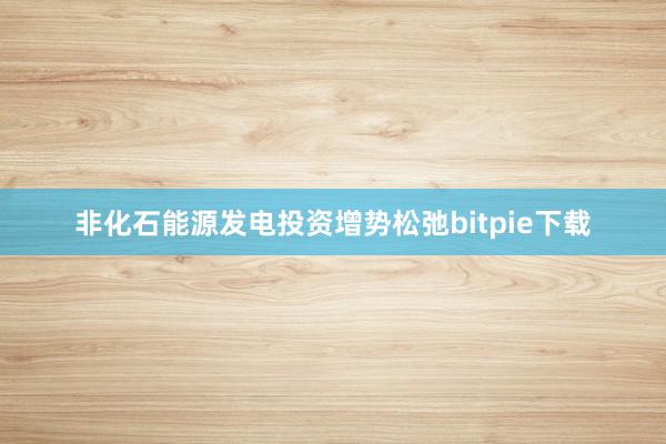 非化石能源发电投资增势松弛bitpie下载