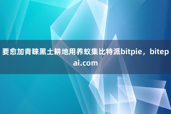 要愈加青睐黑土耕地用养蚁集比特派bitpie，bitepai.com