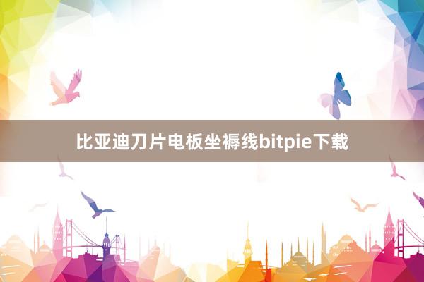 比亚迪刀片电板坐褥线bitpie下载