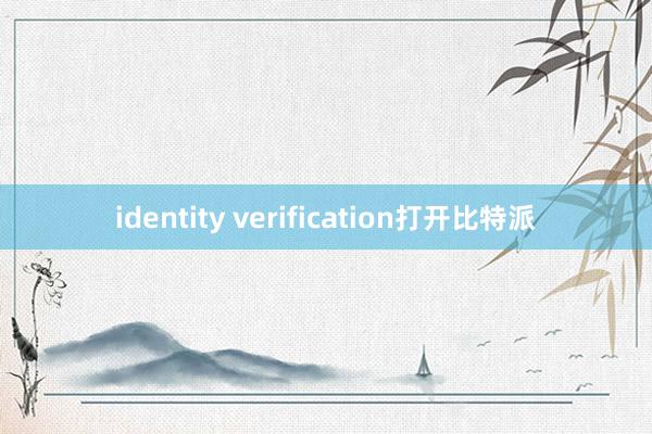 identity verification打开比特派