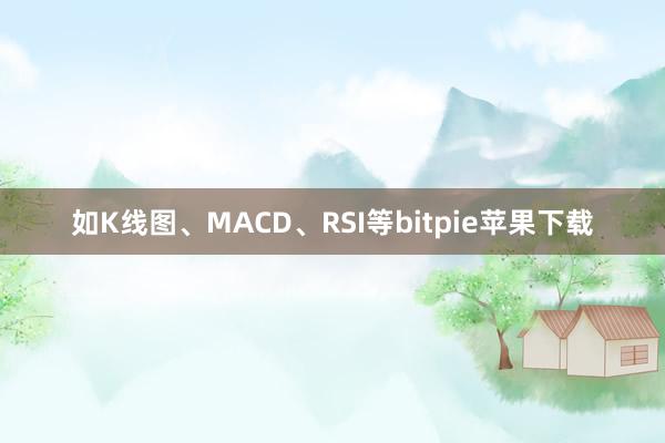 如K线图、MACD、RSI等bitpie苹果下载