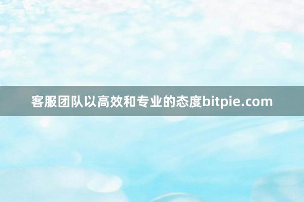 客服团队以高效和专业的态度bitpie.com