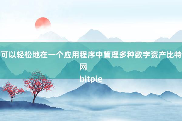 用户可以轻松地在一个应用程序中管理多种数字资产比特派管网
bitpie