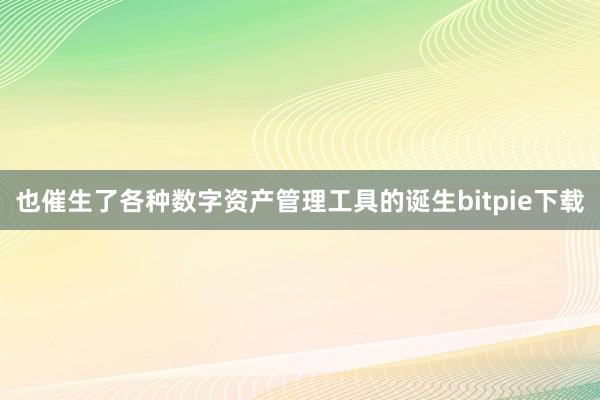 也催生了各种数字资产管理工具的诞生bitpie下载