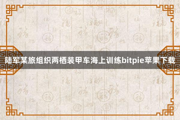 陆军某旅组织两栖装甲车海上训练bitpie苹果下载