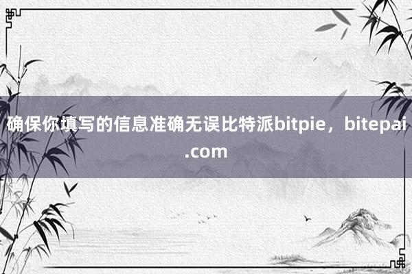 确保你填写的信息准确无误比特派bitpie，bitepai.com