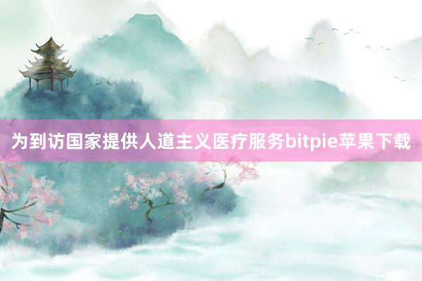 为到访国家提供人道主义医疗服务bitpie苹果下载