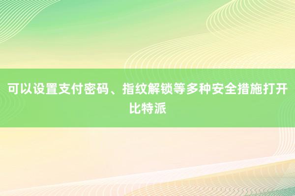 可以设置支付密码、指纹解锁等多种安全措施打开比特派