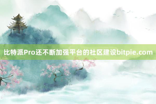 比特派Pro还不断加强平台的社区建设bitpie.com