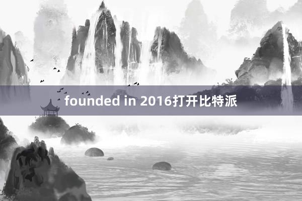 founded in 2016打开比特派