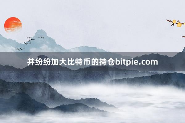 并纷纷加大比特币的持仓bitpie.com