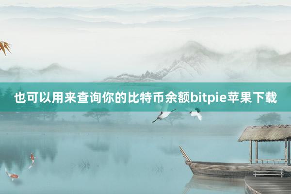 也可以用来查询你的比特币余额bitpie苹果下载