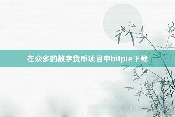 在众多的数字货币项目中bitpie下载