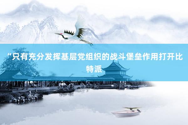 “只有充分发挥基层党组织的战斗堡垒作用打开比特派