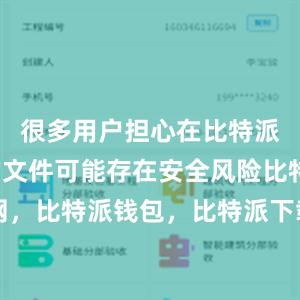 很多用户担心在比特派上下载的文件可能存在安全风险比特派官网，比特派钱包，比特派下载，比特派app下载