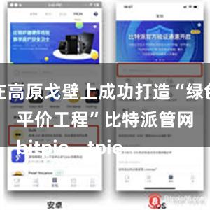 在高原戈壁上成功打造“绿色平价工程”比特派管网
bitpie