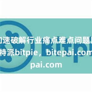 加速破解行业痛点难点问题比特派bitpie，bitepai.com