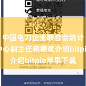 中国电力企业联合会统计与数据中心副主任蒋德斌介绍bitpie苹果下载