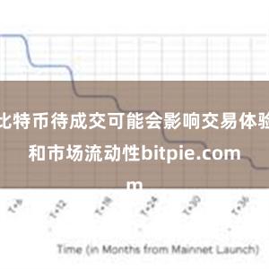 比特币待成交可能会影响交易体验和市场流动性bitpie.com